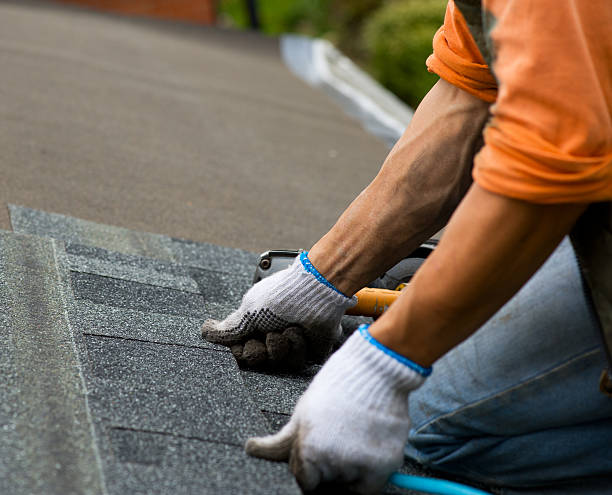 Professional Roofing Contractor in Baidland, PA